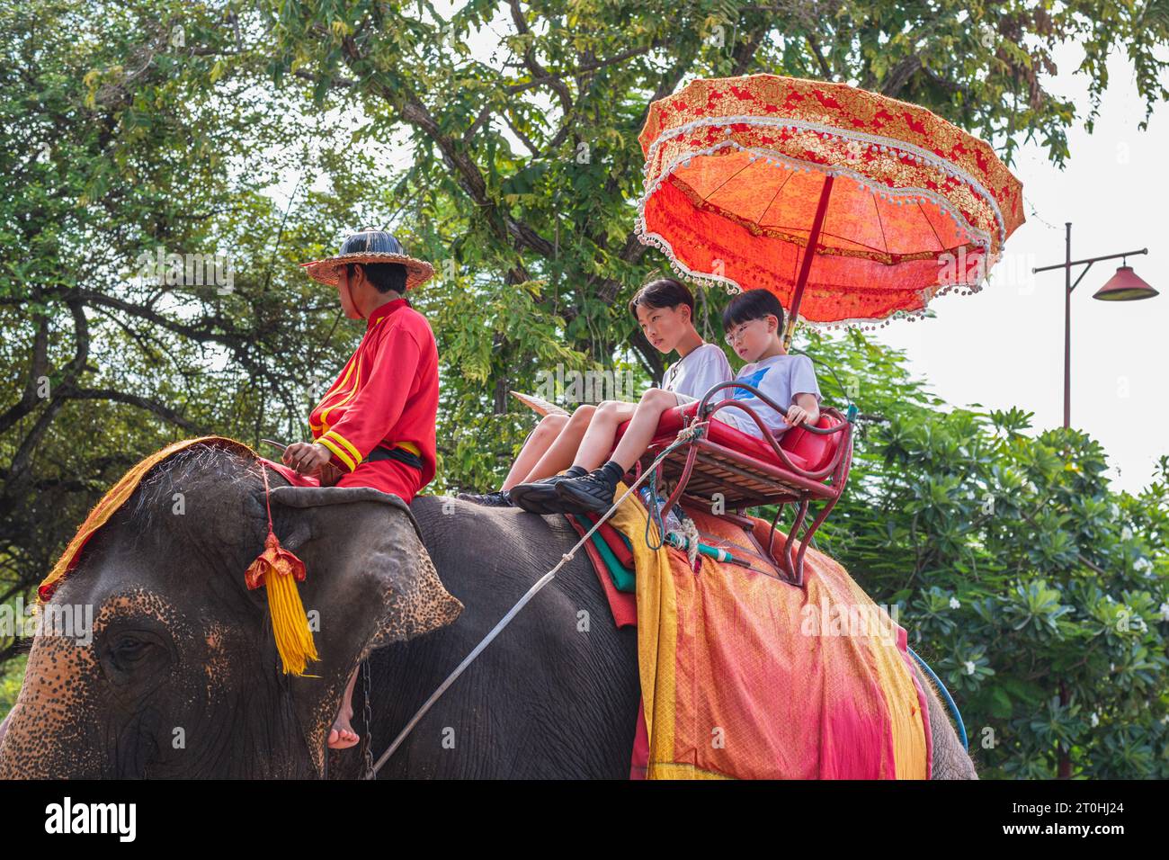 Ayutthaya, Thailandia - 1 agosto 2023: I bambini cavalcano un elefante sulla strada della città. Si tratta di un intrattenimento popolare per i visitatori di Ayutthaya. Foto Stock