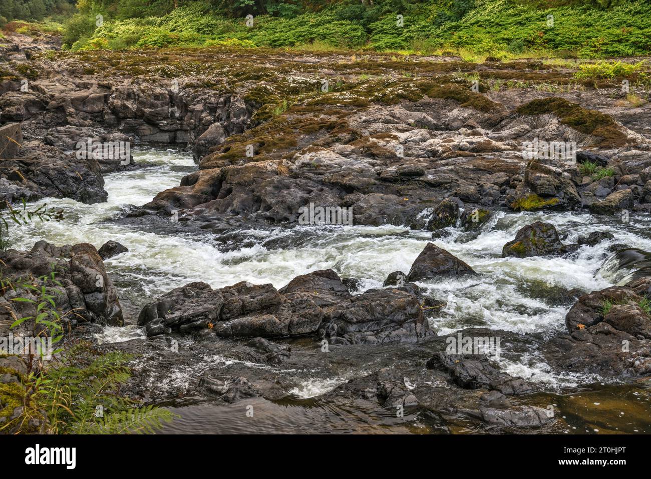 Nehalem Falls, rocce basaltiche vulcaniche sul fiume Nehalem, vicino al Nehalem Falls Campground, Tillamook State Forest, Oregon, USA Foto Stock
