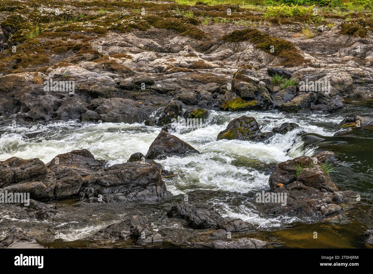 Nehalem Falls, rocce basaltiche vulcaniche sul fiume Nehalem, vicino al Nehalem Falls Campground, Tillamook State Forest, Oregon, USA Foto Stock