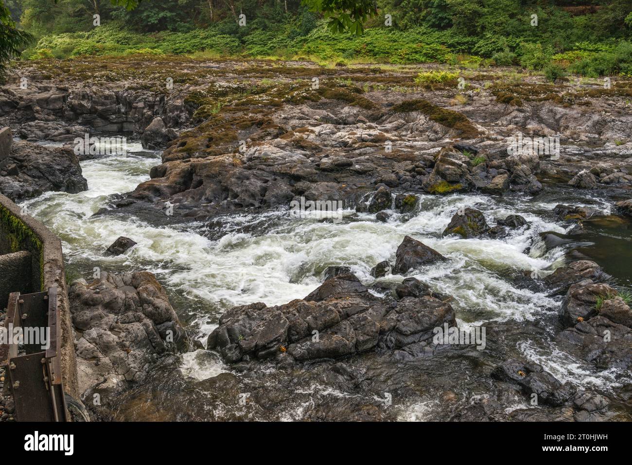 Nehalem Falls, rocce basaltiche vulcaniche sul fiume Nehalem, vicino al Nehalem Falls Campground, Tillamook State Forest, Oregon, USA Foto Stock
