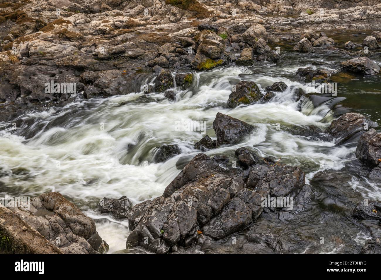 Nehalem Falls, rocce basaltiche vulcaniche sul fiume Nehalem, vicino al Nehalem Falls Campground, Tillamook State Forest, Oregon, USA Foto Stock