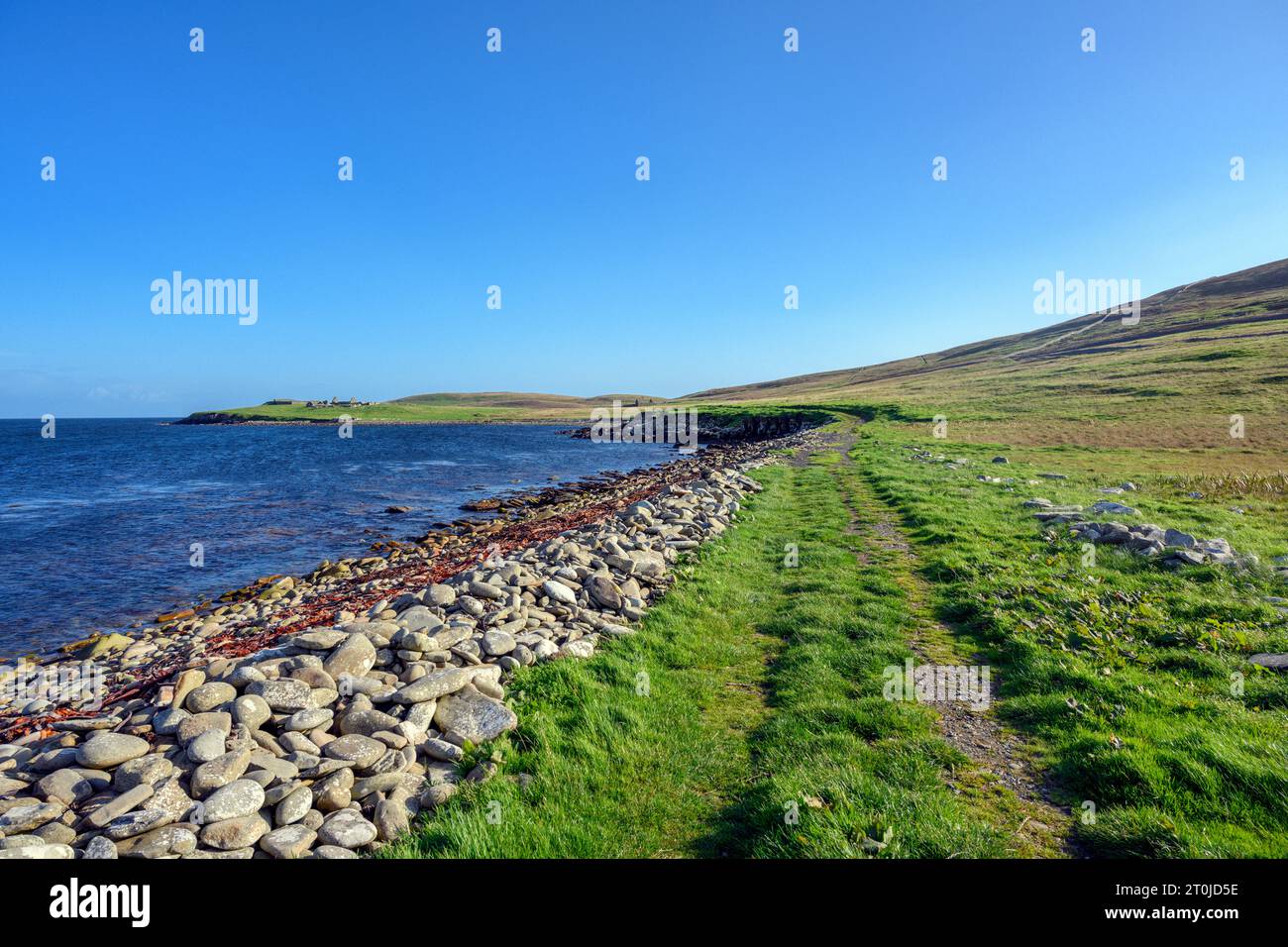 Sentiero costiero vicino a Setter, Bressay, Shetland, Scozia, Regno Unito Foto Stock