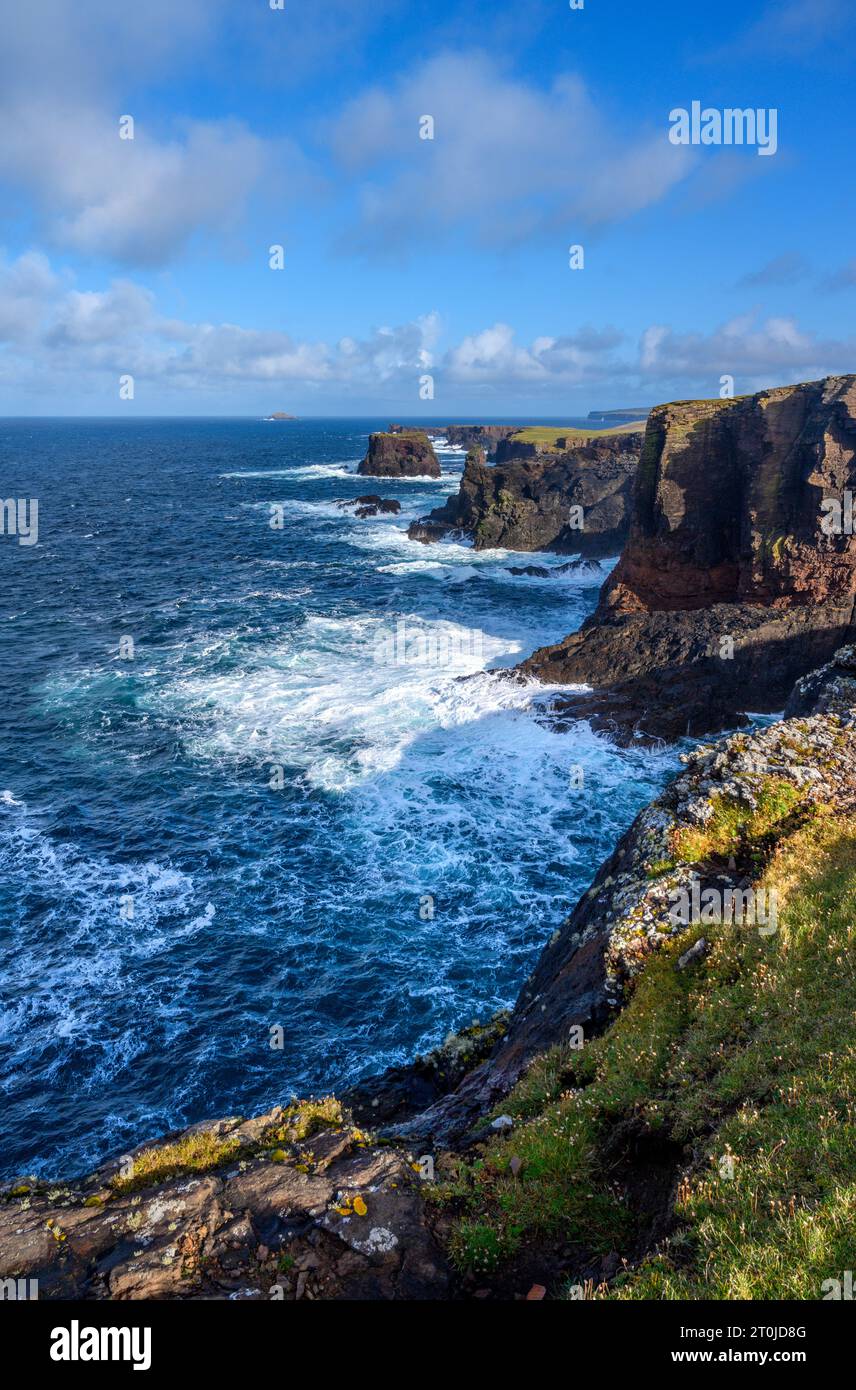 Le scogliere di Eshaness, North Mainland, Shetland, Scozia, Regno Unito Foto Stock