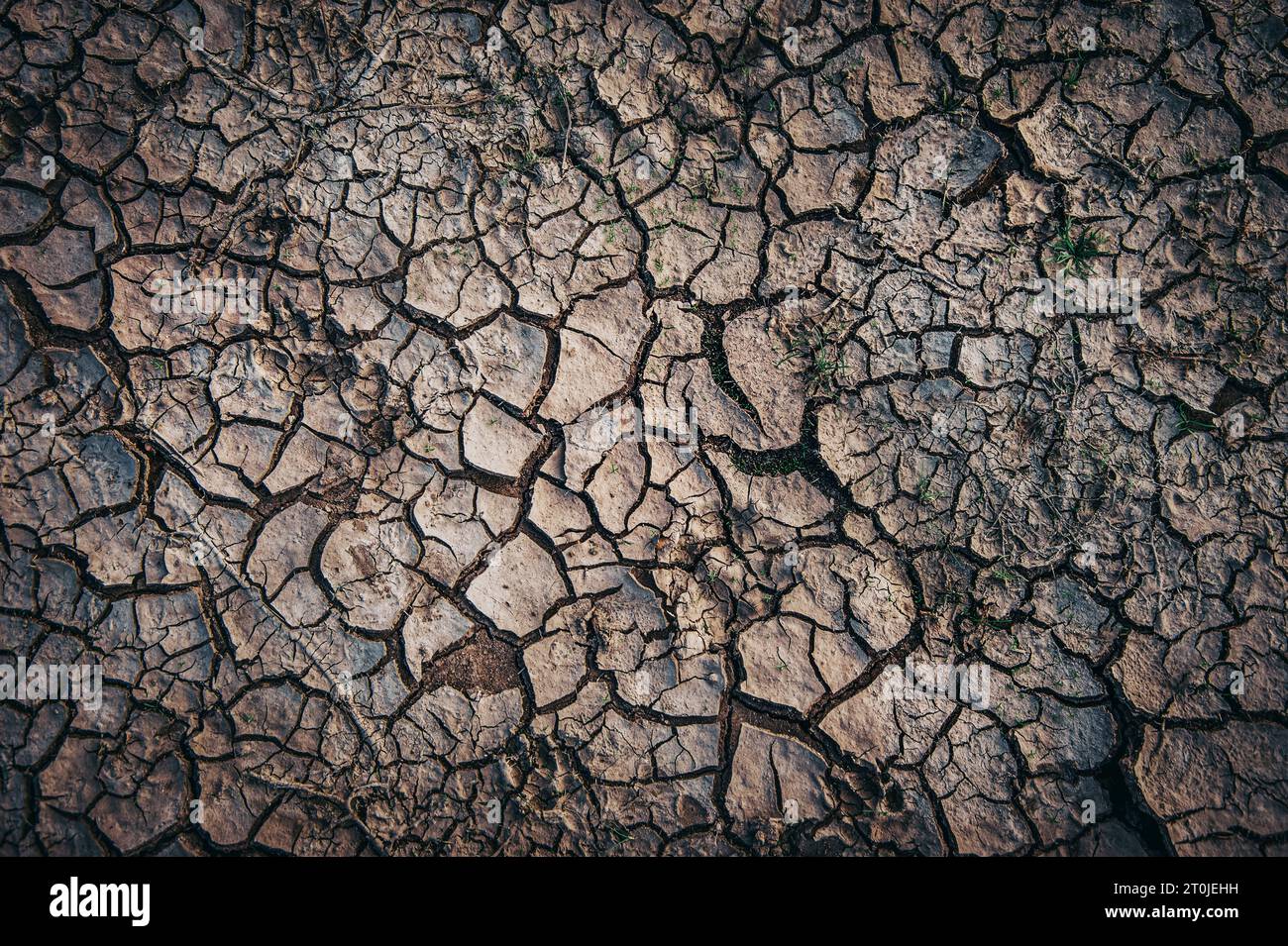 Terra secca incrinata, concetto di riscaldamento globale. Foto Stock