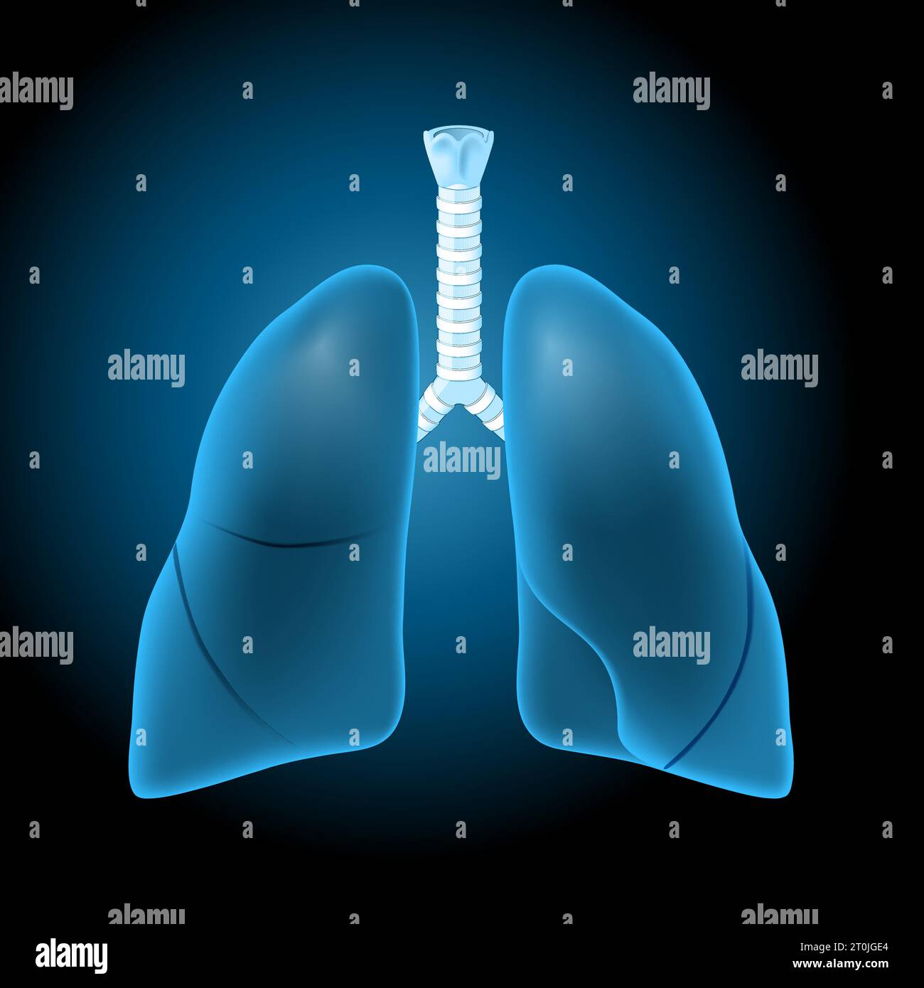 Polmoni con effetto luminoso. Polmoni blu trasparenti realistici su sfondo scuro. Sistema respiratorio umano. Illustrazione per la progettazione sanitaria. Vettoriale d Illustrazione Vettoriale