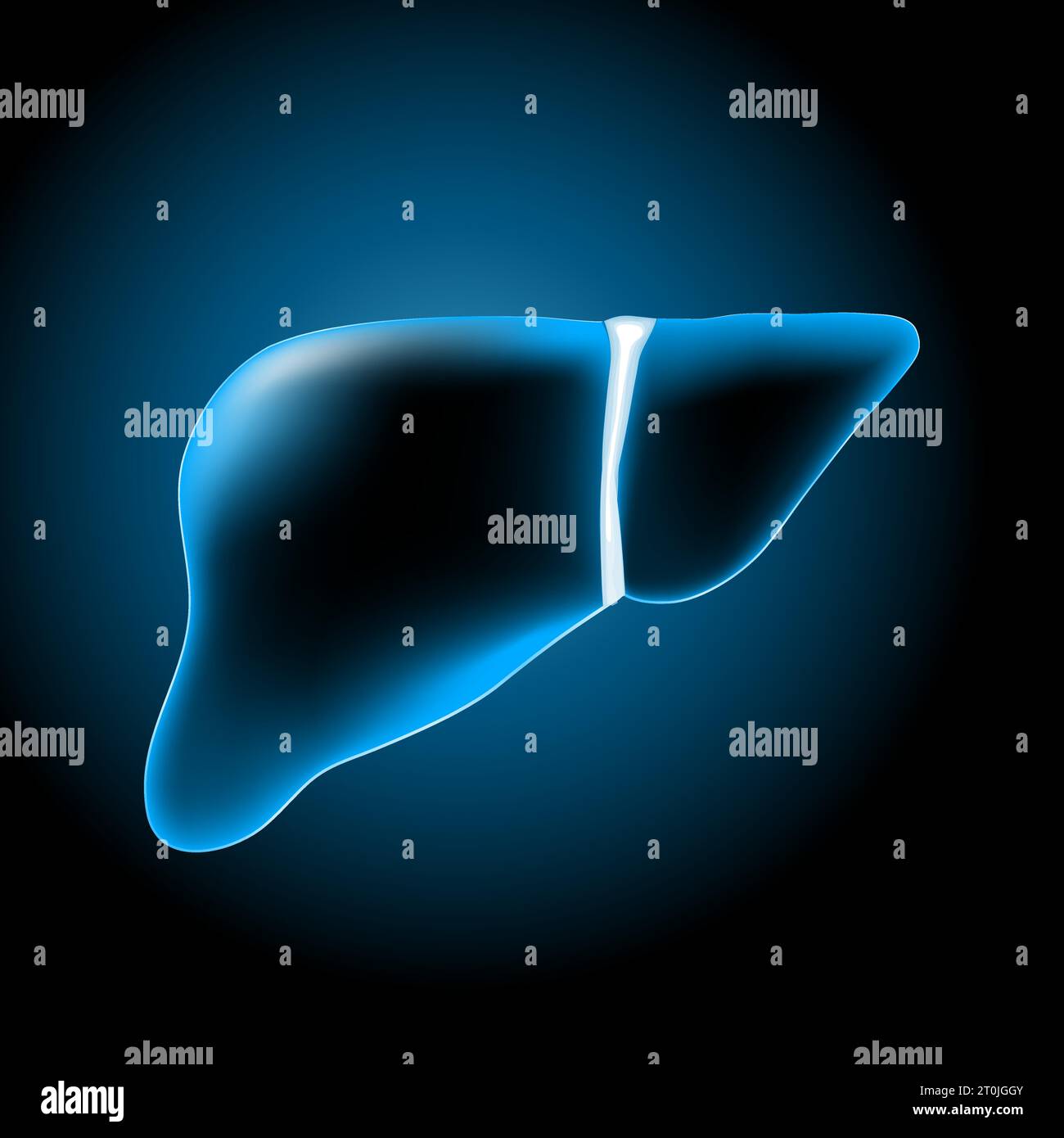 Fegato con effetto luminoso. Fegato blu trasparente realistico su sfondo scuro. Funzione epatica. Sistema epatobiliare umano. Immagine per il settore sanitario Illustrazione Vettoriale