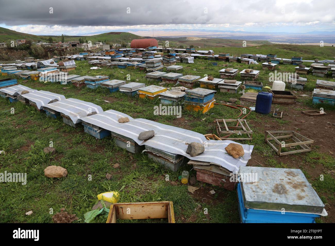 Ardabil, Iran. 5 ottobre 2023. Gli alveari sono avvistati proprio vicino alla città di Ardabil, in Iran. Ardebil, situata nel nord-ovest dell'Iran, è nota per la sua fiorente industria di produzione del miele. Il clima favorevole della regione, la flora variegata e i vasti prati contribuiscono alla produzione di miele di alta qualità. Gli apicoltori locali si concentrano principalmente sulla raccolta di miele da fiori selvatici, erbe e fiori di alberi da frutto, con un'ampia varietà di sapori e aromi di miele. Il miele di Ardebil è apprezzato per la sua purezza, ricchezza e gusto unico. Le tradizioni dell'apicoltura nella regione risalgono a secoli fa, e la produzione di miele pr Foto Stock