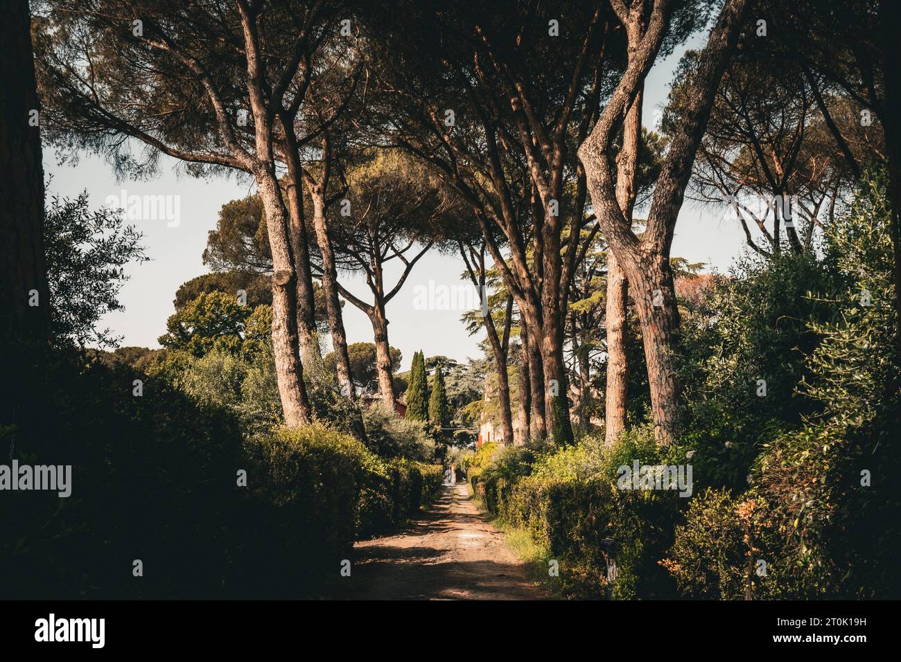 Antica strada romana in Italia chiamata via Appia. Le più importanti strade romane costruite per rifornire le truppe Foto Stock