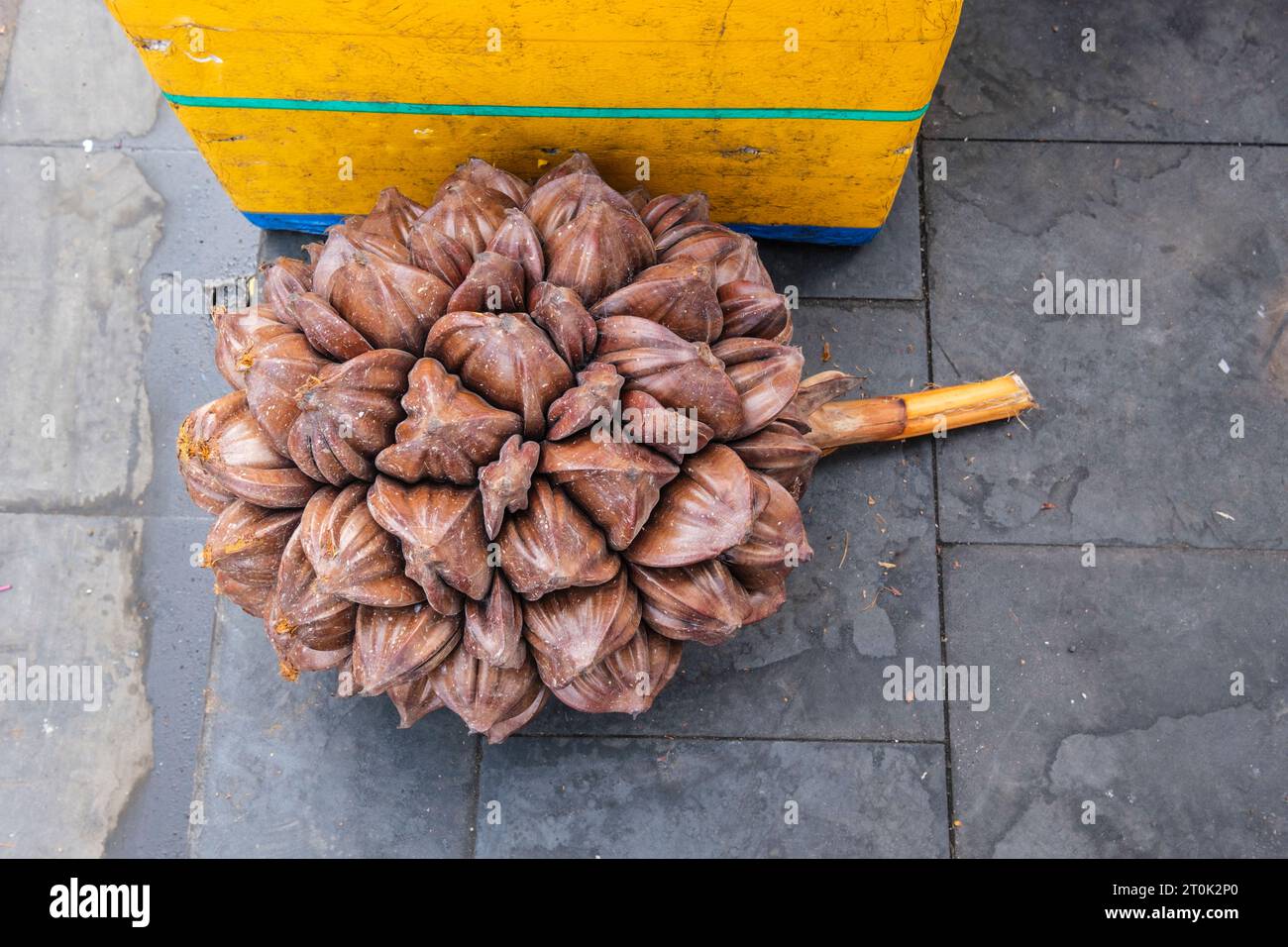 Hoi An, Vietnam. Nipa Palm Seeds in vendita sul mercato. Foto Stock