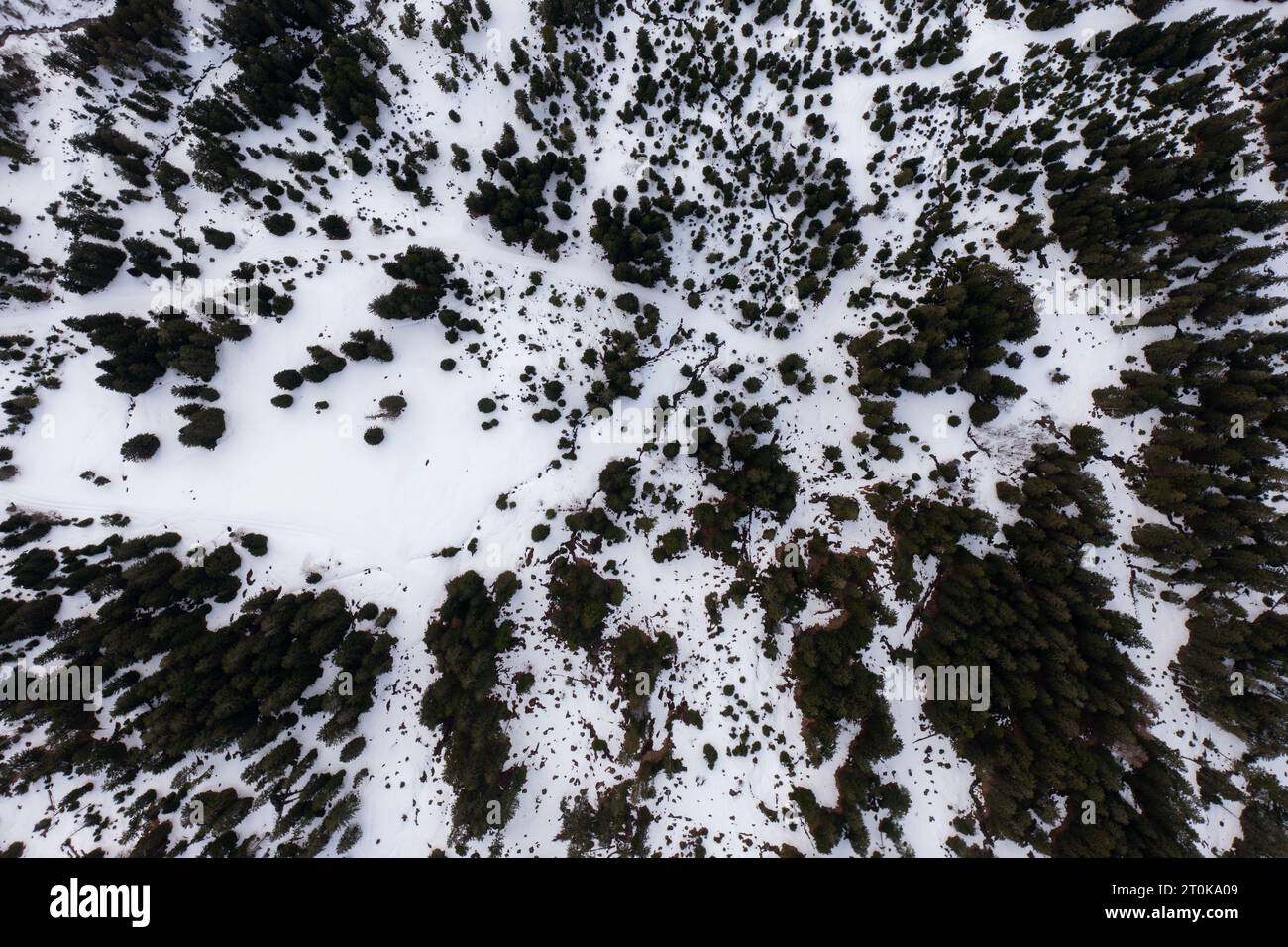 Vista aerea con drone sul passo più spettacolare delle Alpi svizzere - passo Maloja a Grison, Svizzera. Foto Stock