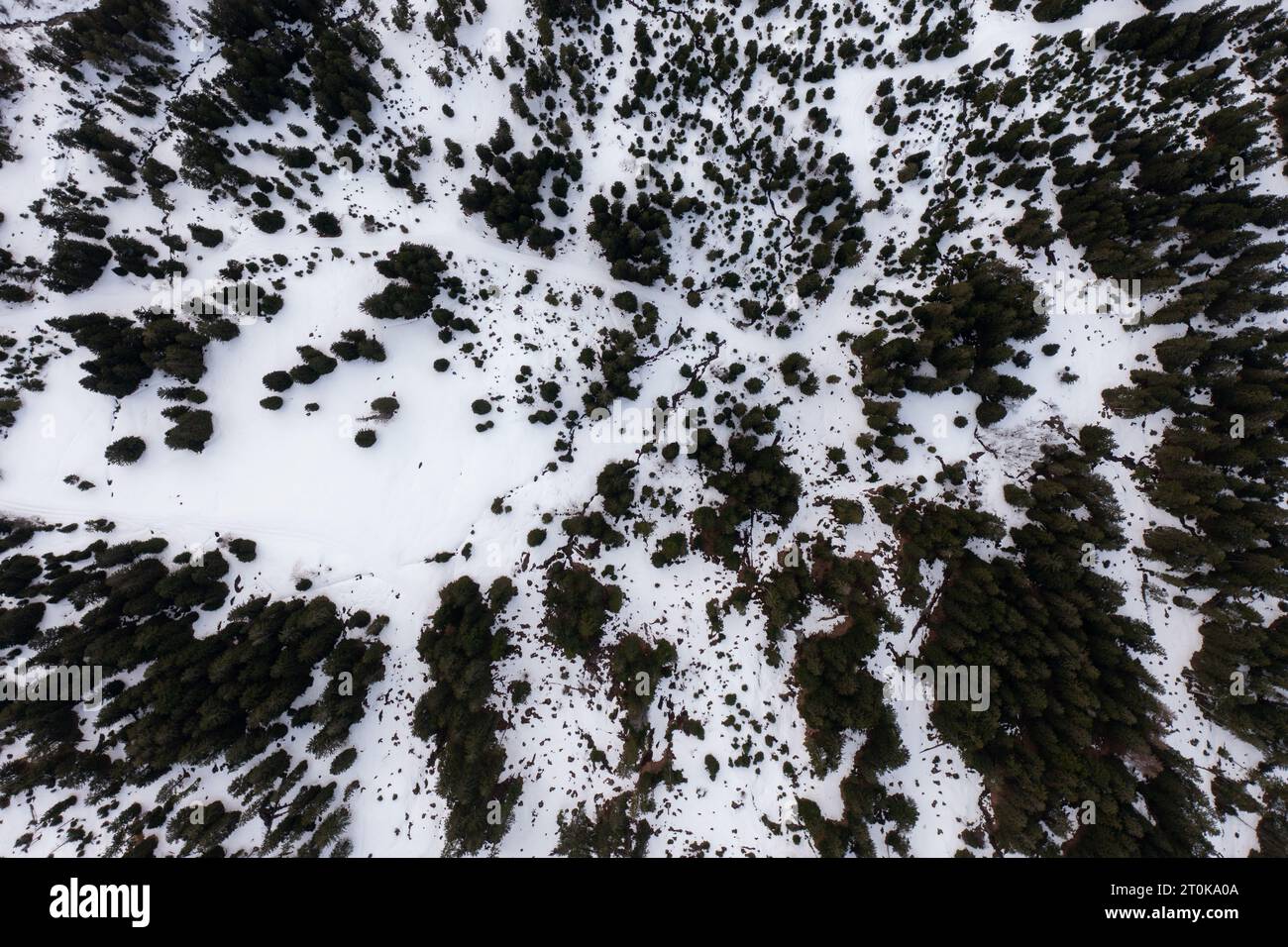 Vista aerea con drone sul passo più spettacolare delle Alpi svizzere - passo Maloja a Grison, Svizzera. Foto Stock