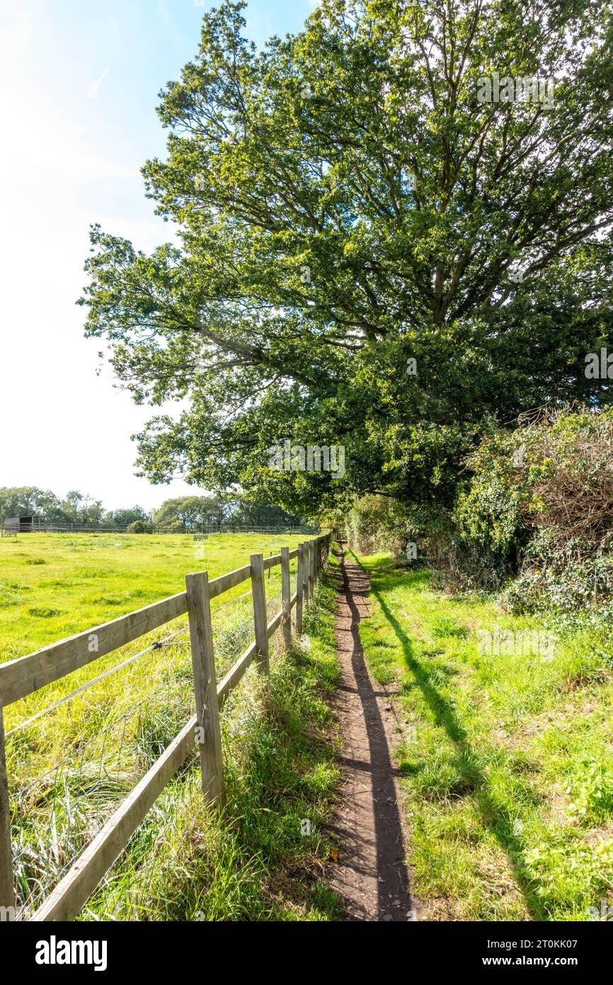 Camminando lungo un sentiero di campagna passando davanti a un campo recintato con una recinzione di legno Foto Stock