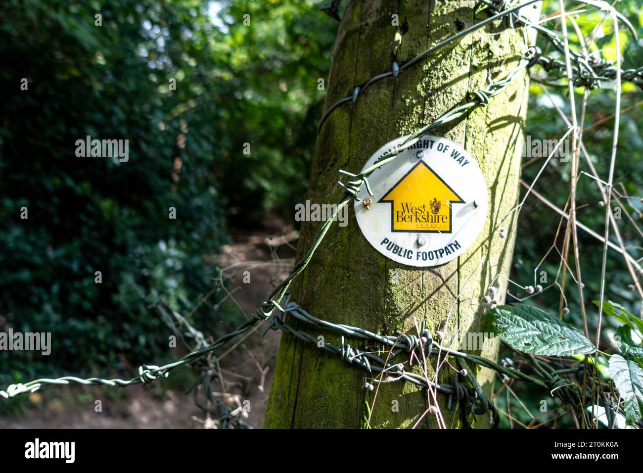 Una freccia gialla su un piccolo disco bianco attaccata a un post segna una scrittura pubblica attraverso la campagna del West Berkshire Foto Stock