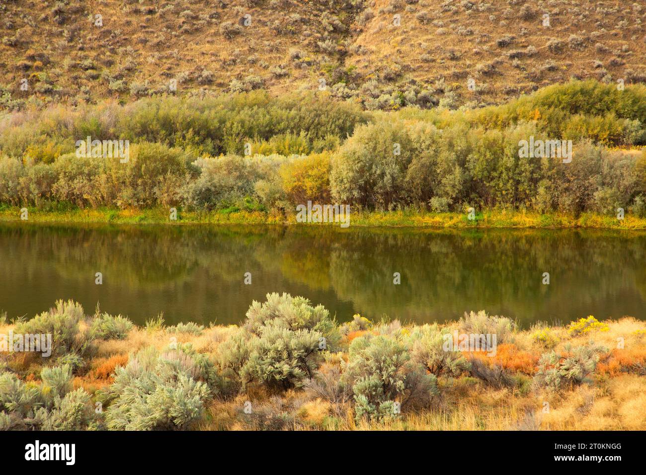 John Day Wild e fiume panoramico da Pinnacles Trail, Cottonwood Canyon State Park, Oregon Foto Stock