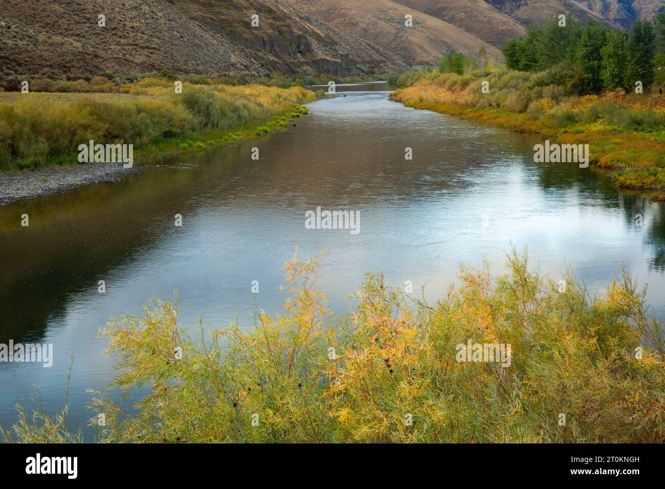John Day Wild e fiume panoramico da Pinnacles Trail, Cottonwood Canyon State Park, Oregon Foto Stock