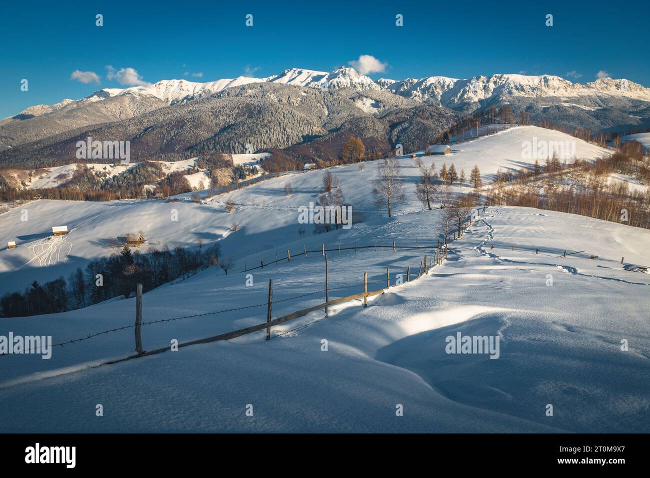 Splendido scenario invernale con piste innevate e maestose montagne sullo sfondo, montagne Bucegi, Carpazi, Romania, Europa Foto Stock