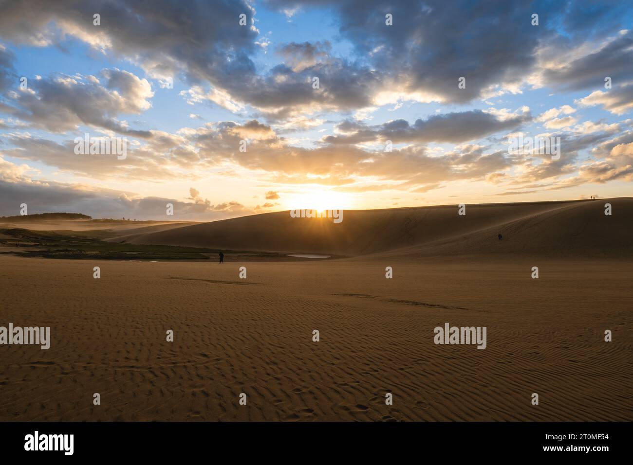 Scenario delle dune di sabbia di Tottori nella prefettura di Tottori, Giappone al tramonto Foto Stock