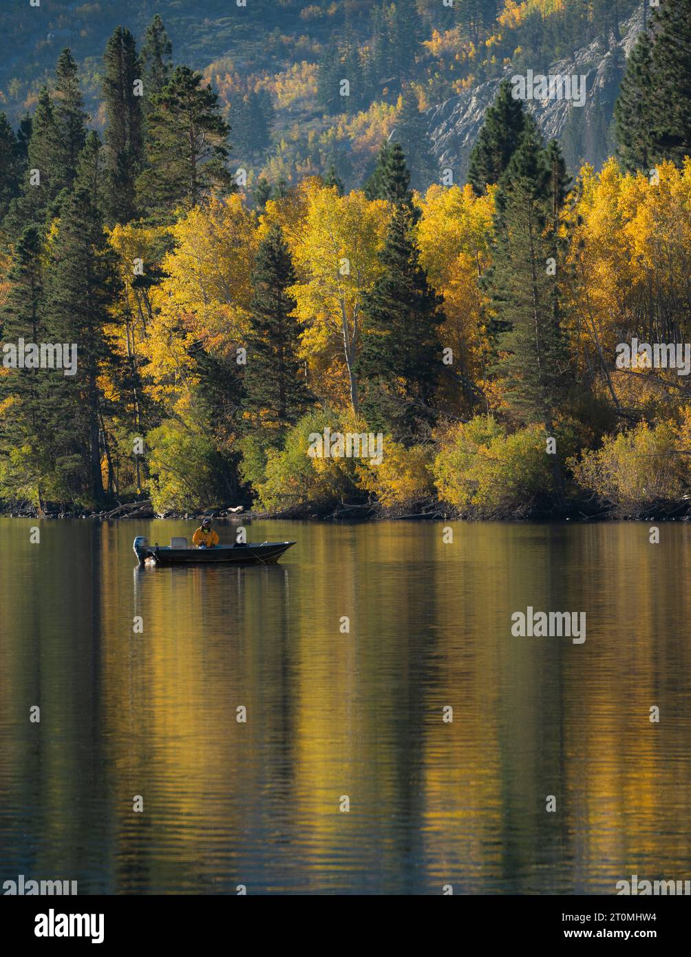 Cadono nella Sierra orientale, in California Foto Stock