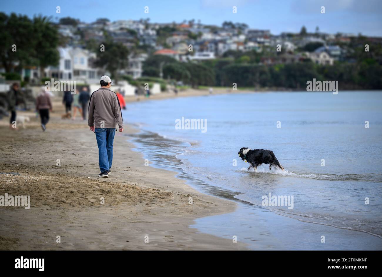 L'uomo e il suo cane camminano sulla spiaggia. Persone e cani irriconoscibili a Milford Beach. Auckland. Foto Stock