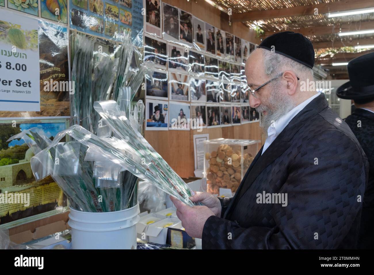 Un ebreo ortodosso in una Sukkah acquista rami di salice (arovos) per l'uso durante l'ultimo giorno di Sukkos, Hoshana Rabba. A Monsey, New York. Foto Stock