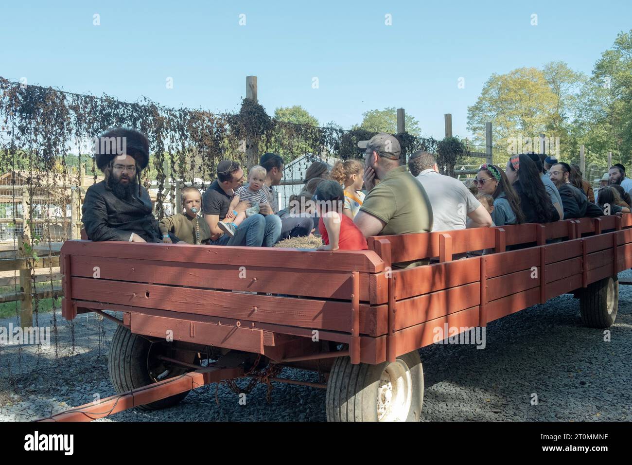 Rispondendo all'editto della bibbia di divertirsi a Sukkos, ebrei alcuni ebrei ortodossi visitarono una fattoria locale e andarono a fare un giro sul fieno. Nella contea di Rockland, New York. Foto Stock