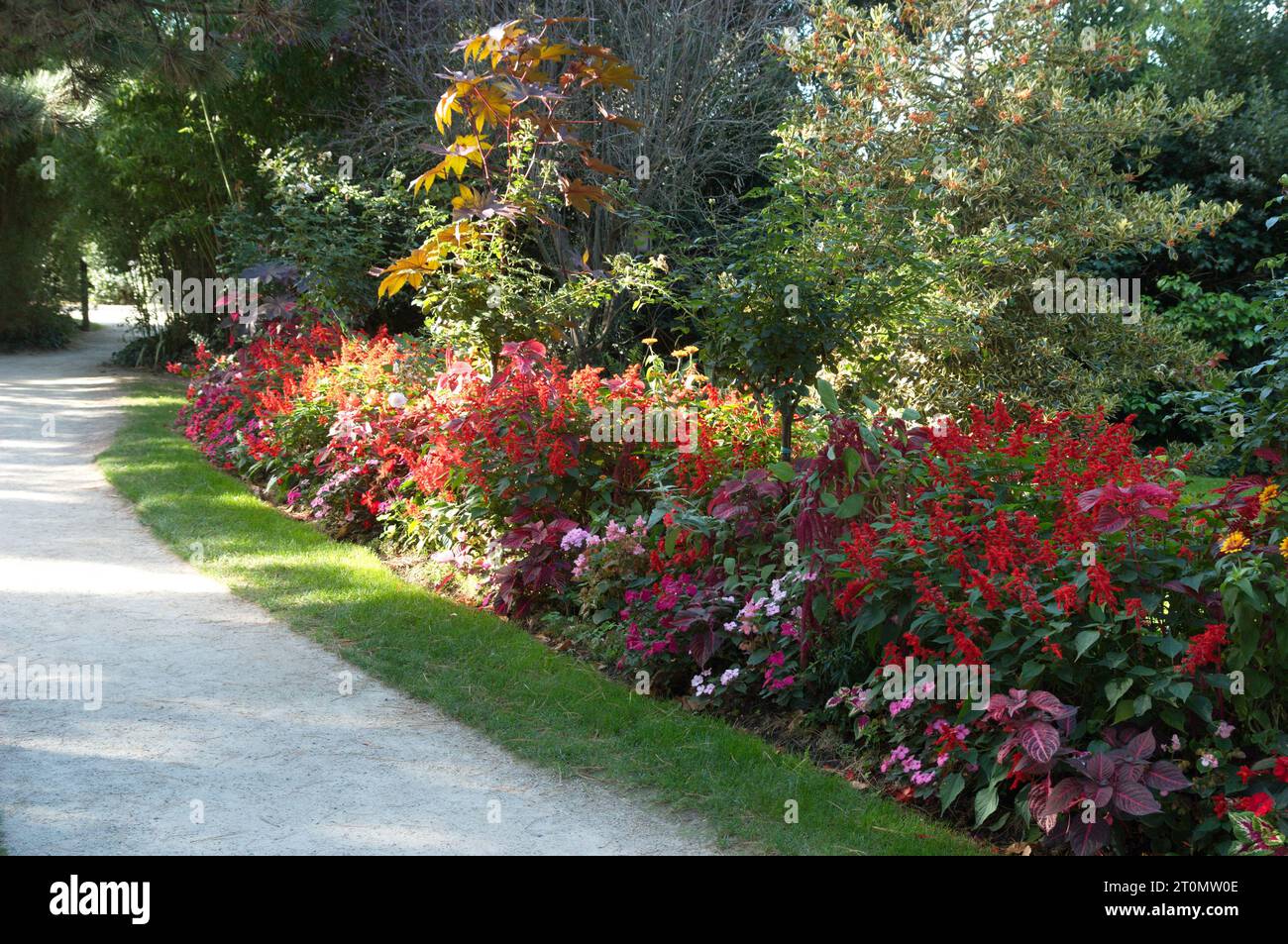 Il giardino della Villa Les Rhumbs, Granville, Normandia, Francia; sede del Museo Christian Dior. Foto Stock