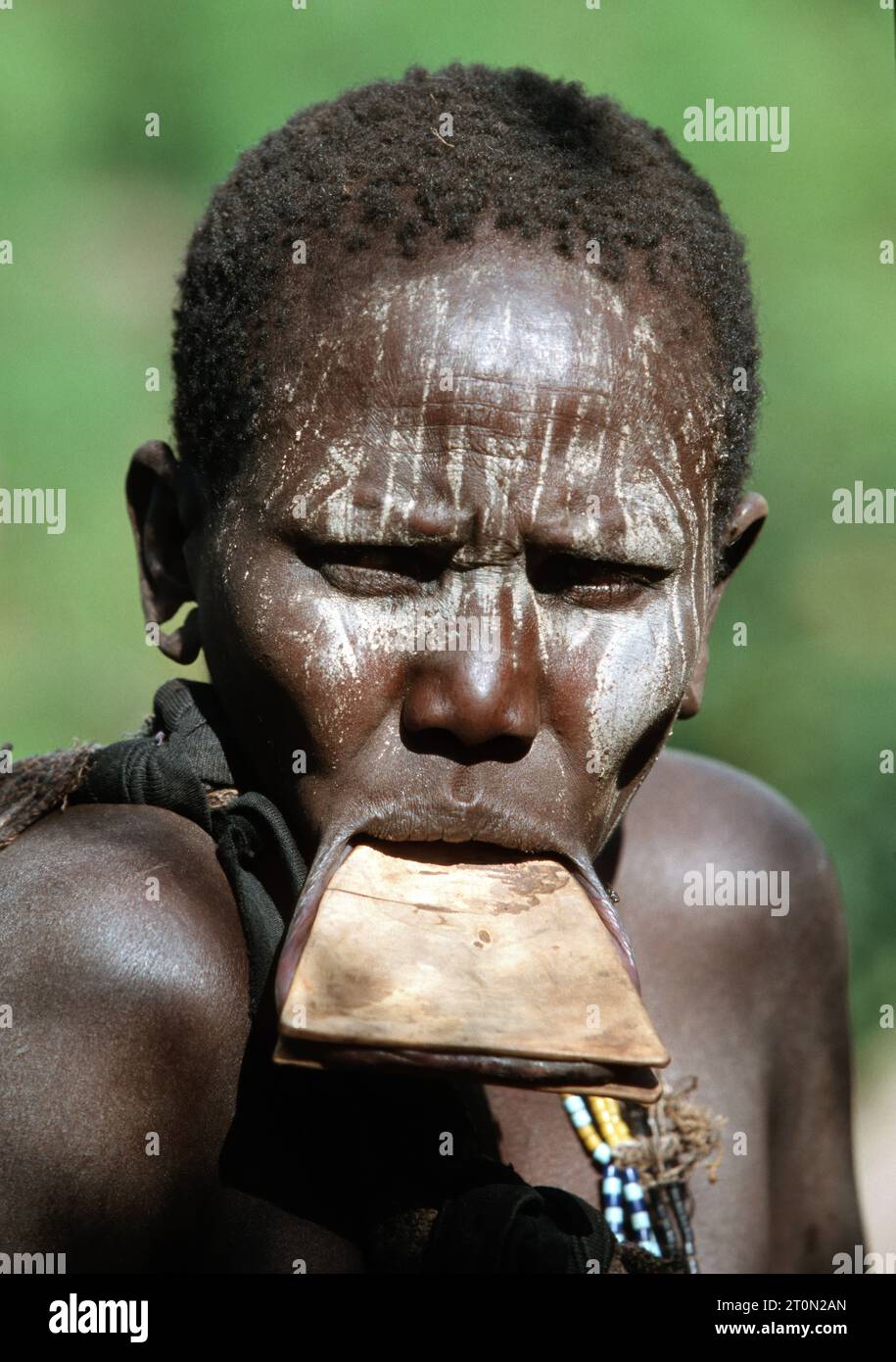 Sudan, SDN, donna della tribù Kachipo con labbro tradizionale, Sudan del Sud Foto Stock