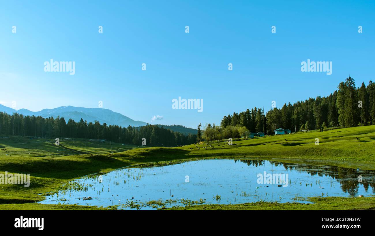 Yousmarg Valley in estate Jammu Kashmir Foto Stock