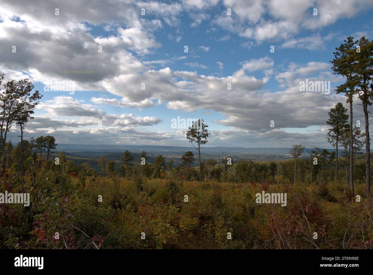 Vista dalla regione di North Terminus della foresta statale di Michaux Foto Stock