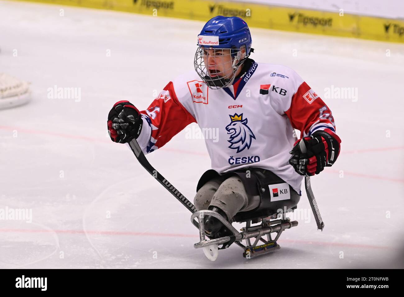 Filip Vesely della Repubblica Ceca celebra un gol durante la partita della Coppa Internazionale di hockey Repubblica Ceca contro la squadra IPH a Ostrava, Repubblica Ceca, 8 ottobre 2023. (Foto CTK/Jaroslav Ozana) Foto Stock