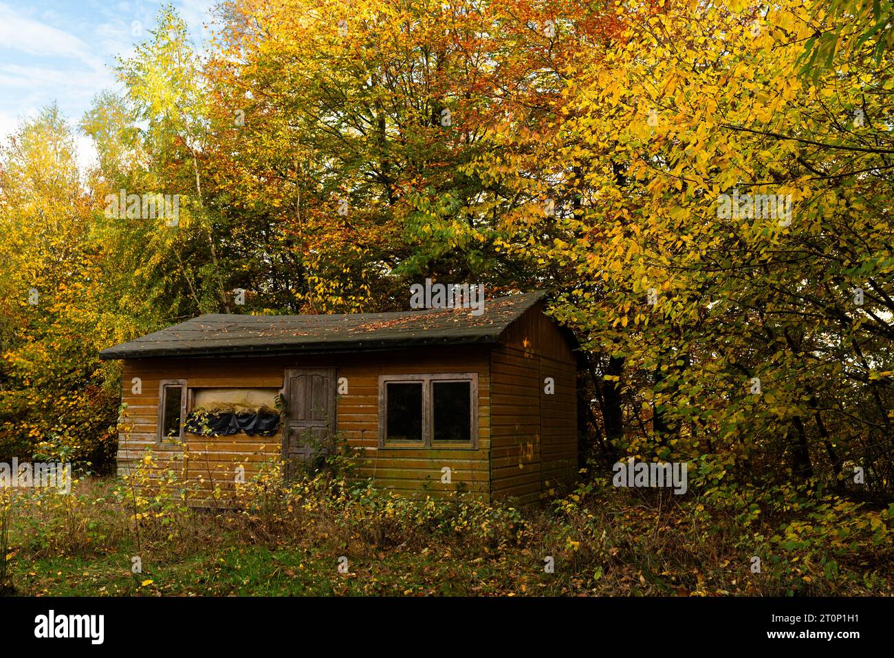cottage abbandonato nella foresta in autunno Foto Stock