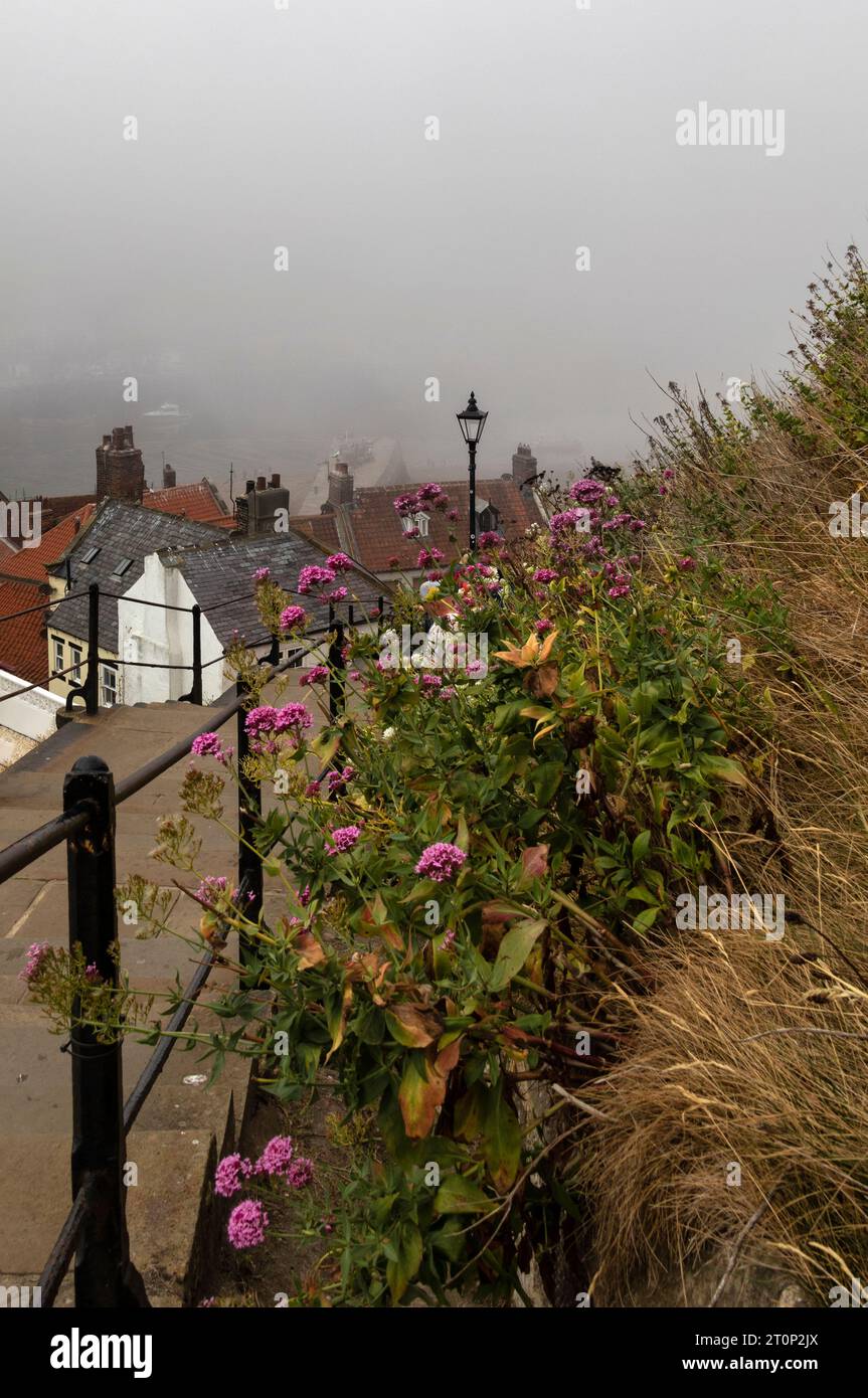 Whitby è una città di mare nello Yorkshire, nel nord dell'Inghilterra, divisa dal fiume Esk. Foto Stock