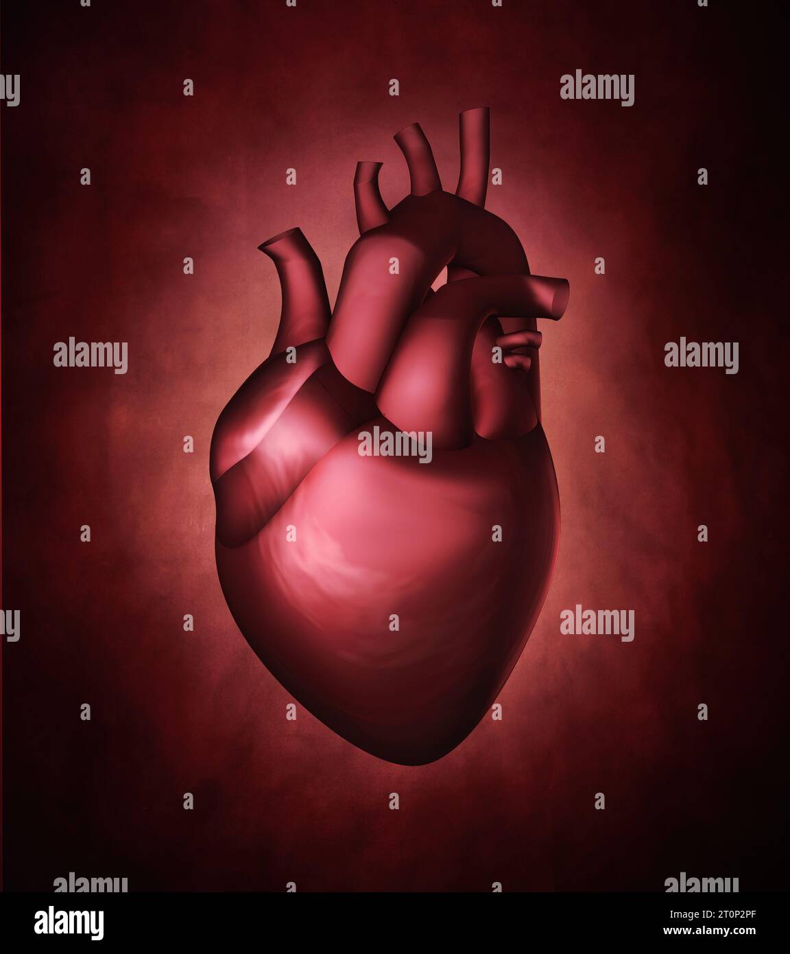 Cuore, immagine di visualizzazione grafica 3D. Modello di rendering salute e nutrizione, con un organo vitale umano a cuore rosso Foto Stock