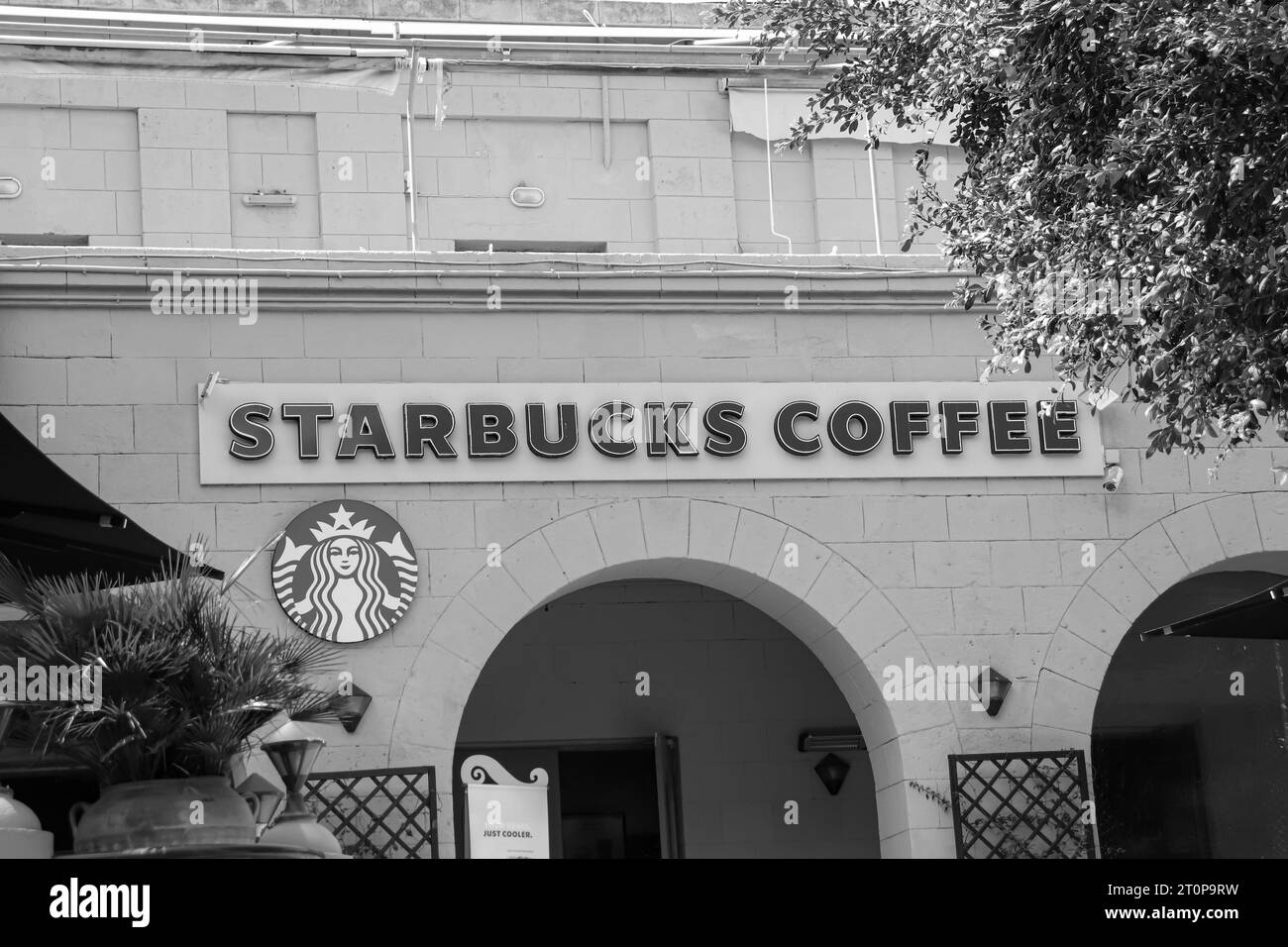 La catena di bar Starbucks in bianco e nero è situata davanti all'ingresso e all'insegna nella città di Rodi, Grecia Foto Stock