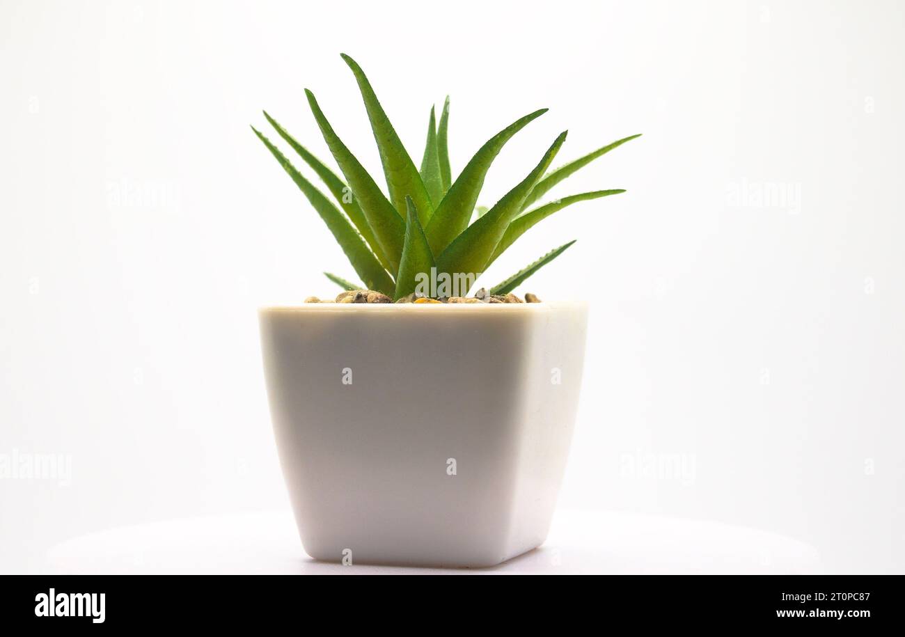 Mini Desktop Piccolo Vaso Artificiale Aloe Vera Pianta Bonsai