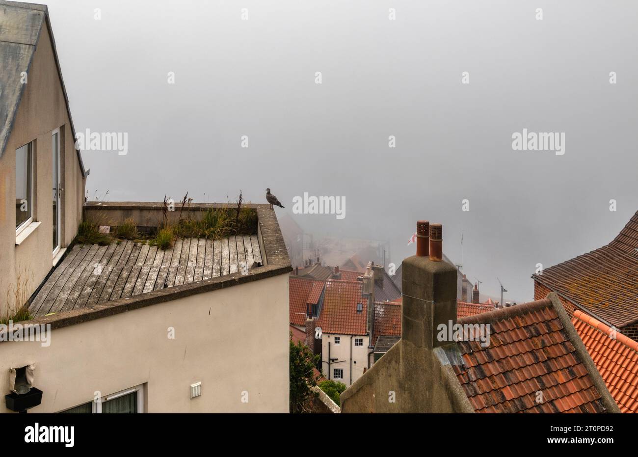 Whitby è una città di mare nello Yorkshire, nel nord dell'Inghilterra, divisa dal fiume Esk. Foto Stock