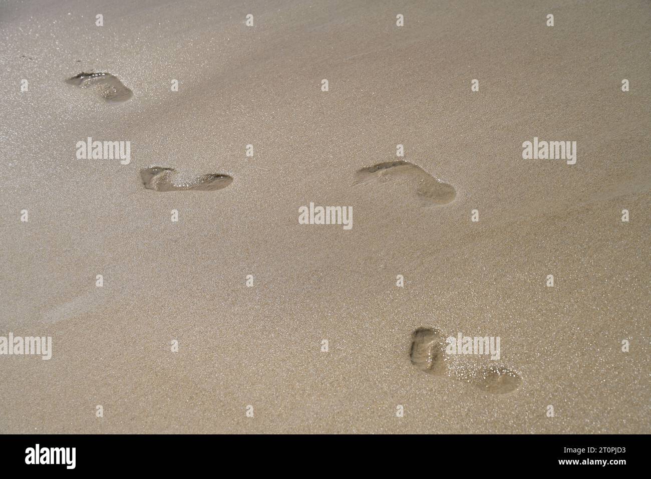 Spuren im Sand, Sylt, Schleswig-Holstein, Deutschland Foto Stock