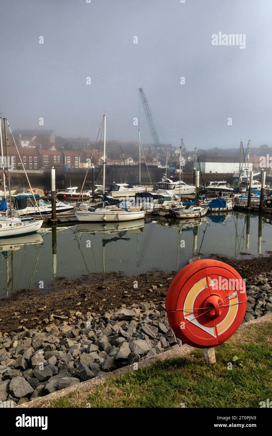 Whitby è una città di mare nello Yorkshire, nel nord dell'Inghilterra, divisa dal fiume Esk. Foto Stock