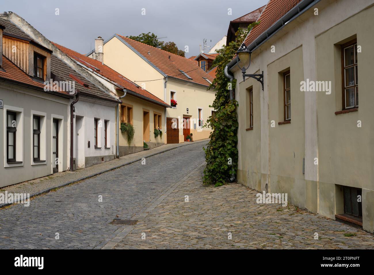 Velka Frantiskanska strada acciottolata nel centro storico di Znojmo, Moravia, Repubblica Ceca Foto Stock