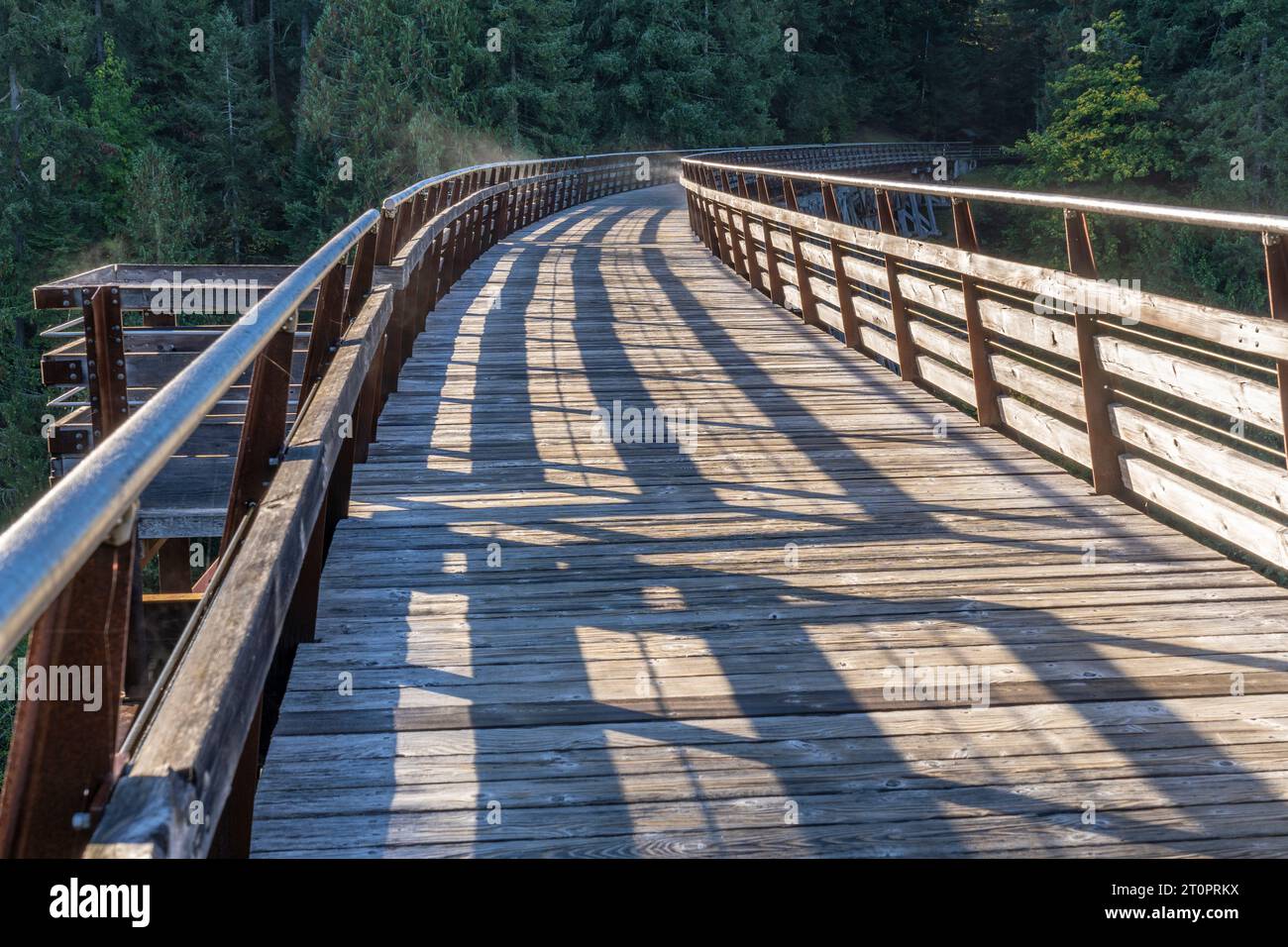 Il Trans-Canada Trail sul Kinsol Trestle sul fiume Koksilah nel lago Shawnigan, Columbia Britannica, Canada. Foto Stock