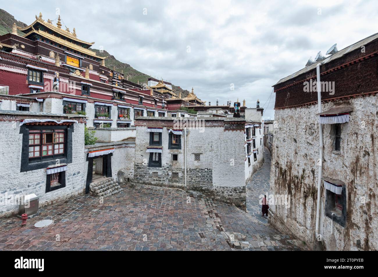 Il monastero di Tashilhunpo e il suo tetto dorato a Shigatse Tibet Cina Foto Stock