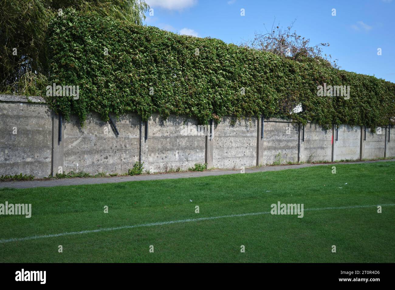 Cricket Ball Catcher Fence nel Recreation Ground Penarth, Galles del Sud, Regno Unito Foto Stock