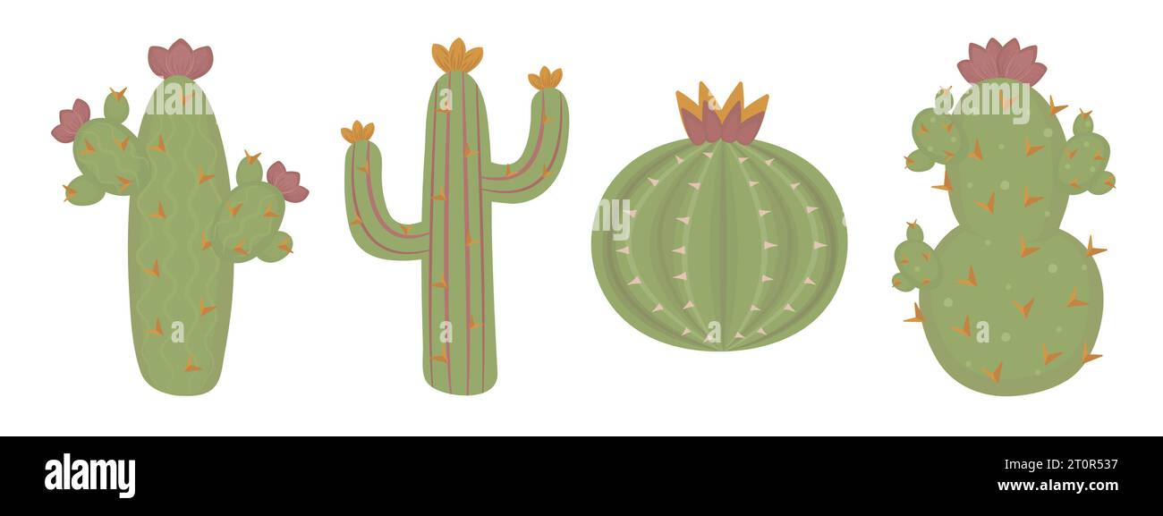 Cactus ambientato in stile boho, con succulente illustrazioni a colori di tema del selvaggio West Illustrazione Vettoriale
