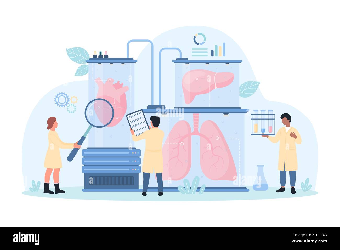 Organo umano bioartificiale per l'illustrazione dei vettori di trapianto. Cartoni animati piccoli scienziati con lente di ingrandimento studio polmoni, fegato e cuore all'interno medico biotech attrezzature di laboratorio di futuro Illustrazione Vettoriale