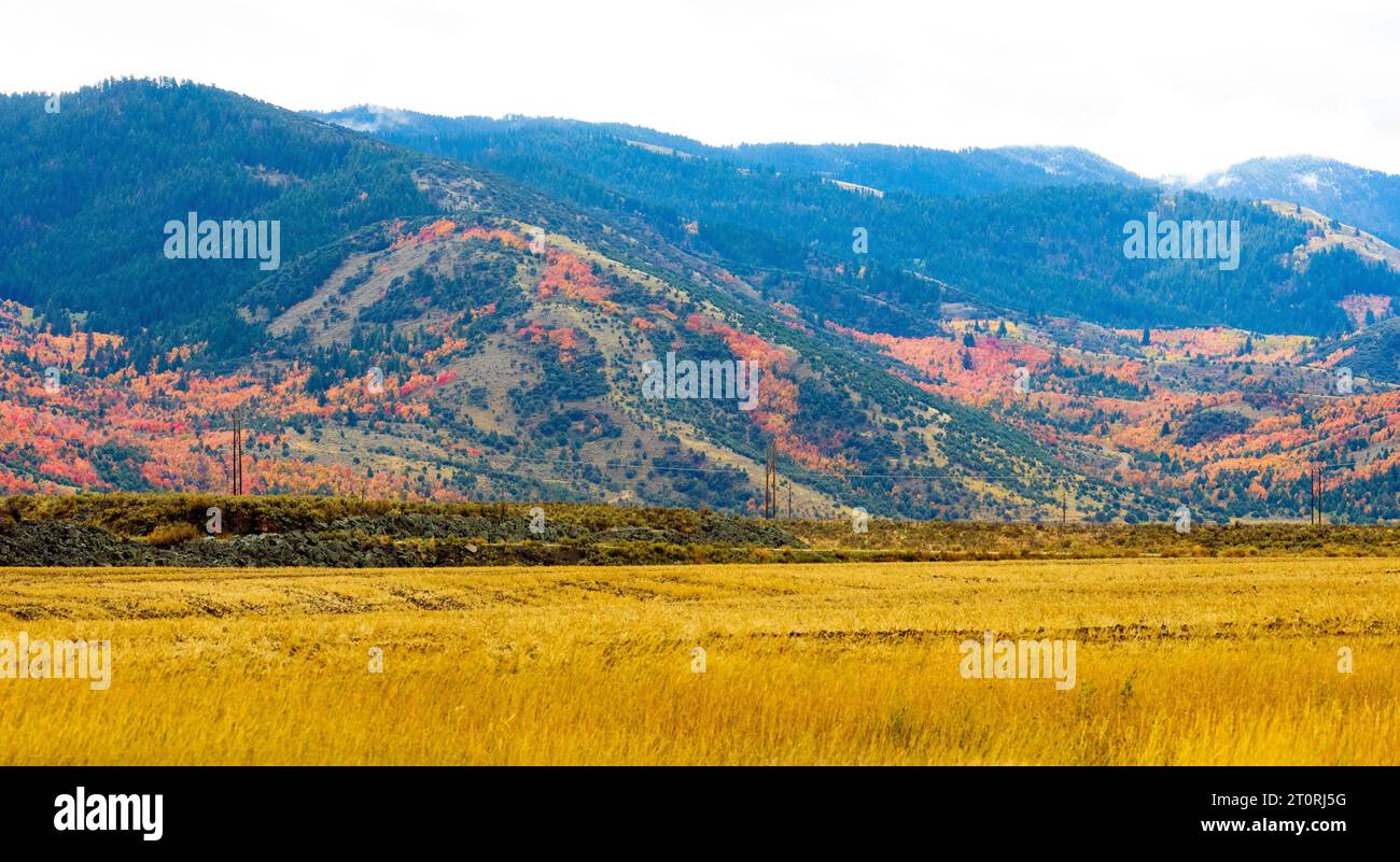 Colori autunnali: Rosso giallo arancione sulle colline Foto Stock