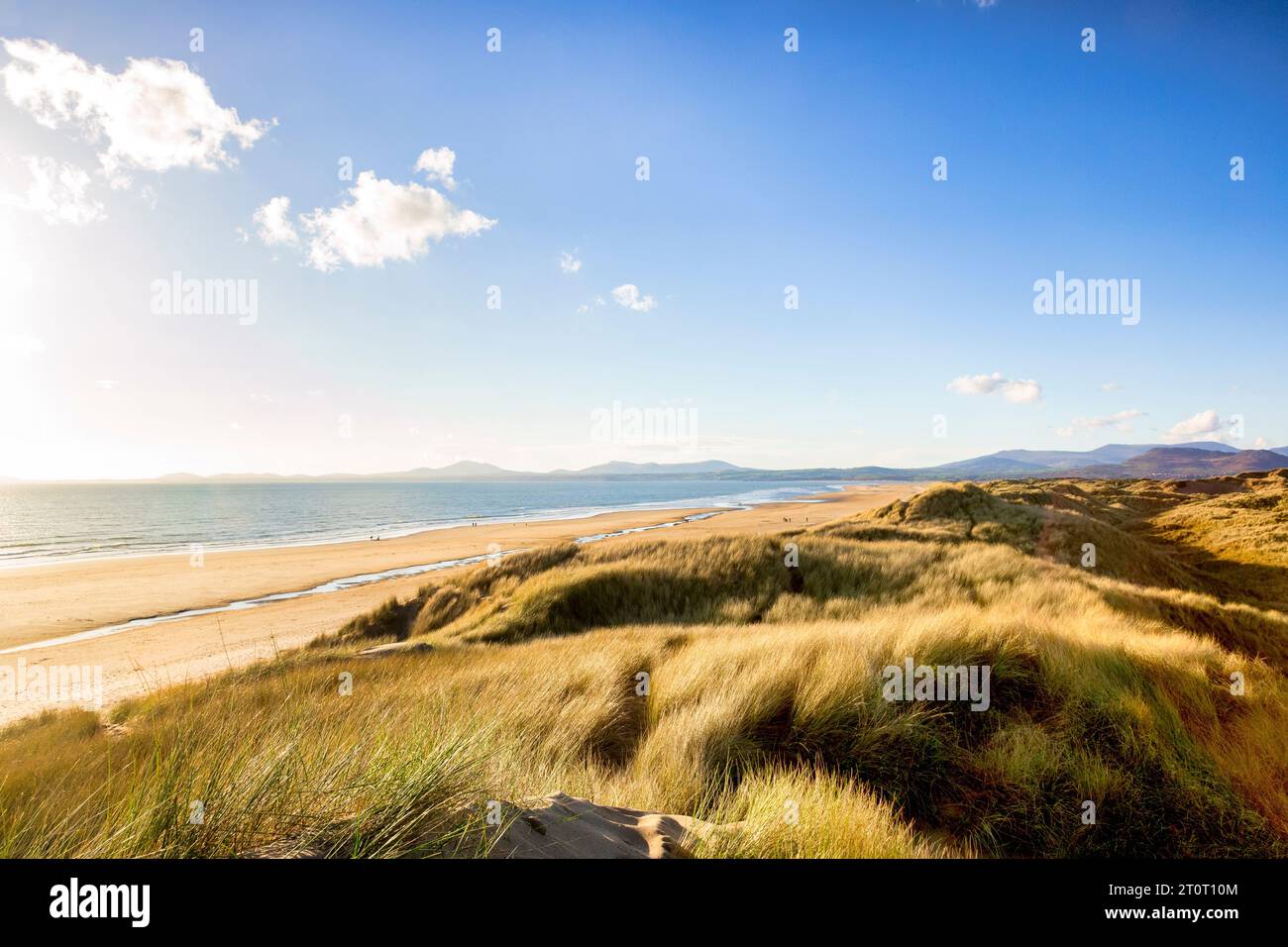 Harlech Beach e Sand Dunes nel tardo pomeriggio, Gwynedd, Galles, Regno Unito Foto Stock