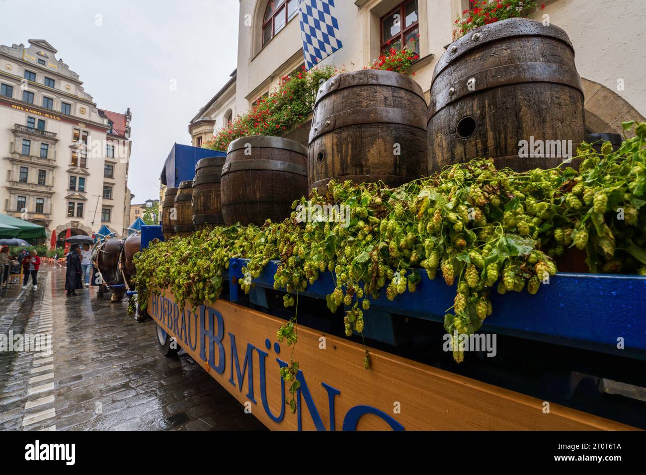 Monaco, Germania, UE - 13 settembre 2023. L'Oktoberfest Hofbrauhaus birreria festival parata galleggiante con un carro ippico pieno di fusti di birra a Hofbräuhaus Foto Stock