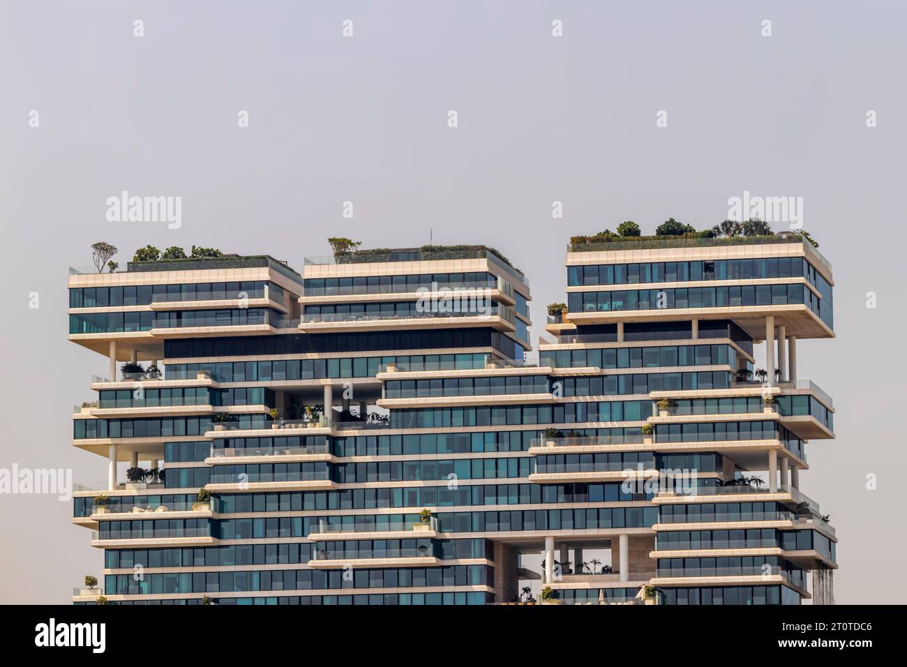 One Palm a Dubai Foto Stock