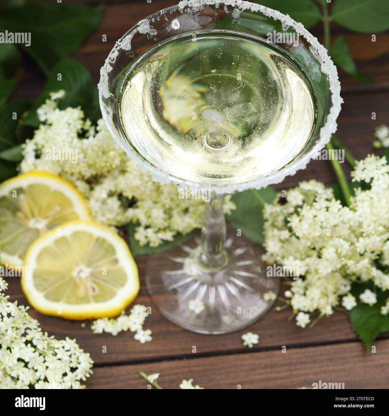 Bicchiere di champagne con liquore ai fiori di sambuco. Decorata con fiori di sambuco bianchi su sfondo naturale Foto Stock