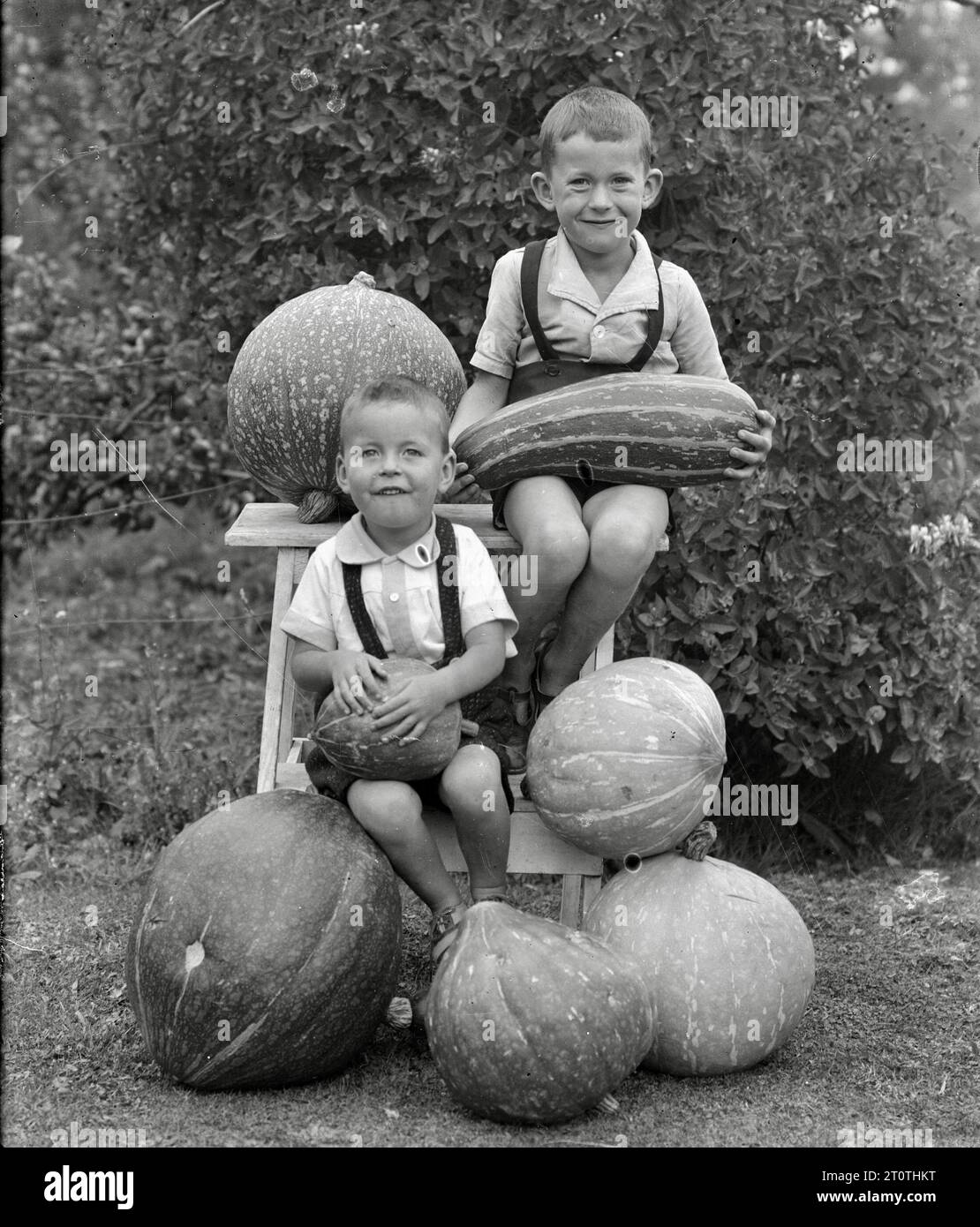 Albert Percy Godber (fotografo neozelandese) - nipoti con midolli e zucche, Foto Stock